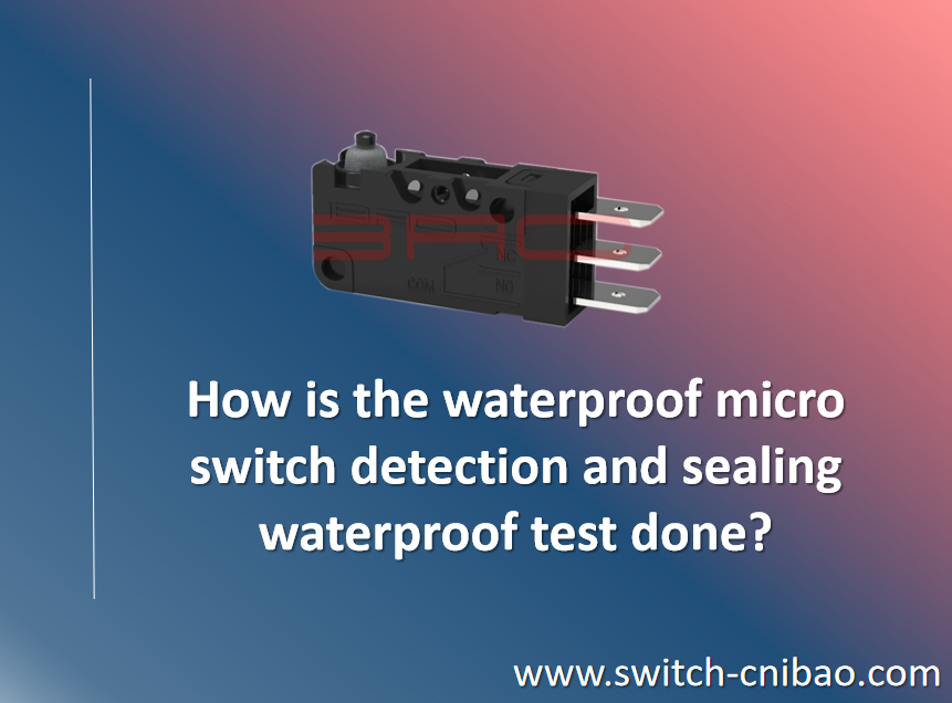 https://www.switch-cnibao.com/sealed-micro-switch/