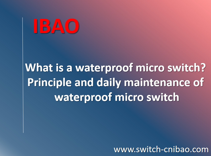 What is a waterproof micro switch